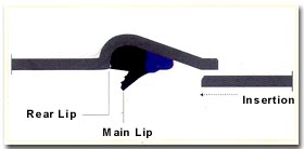 siri5.jpg (12058 bytes)